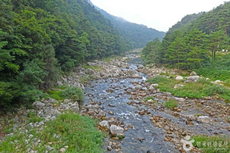 [강원] 추대계곡