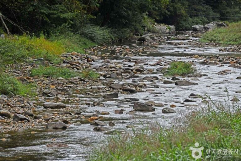 [강원] 흥정계곡