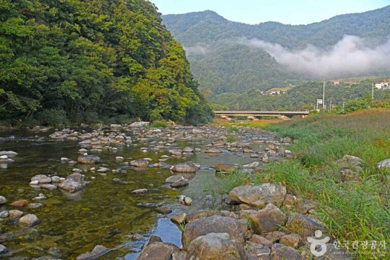 [강원] 아침가리계곡
