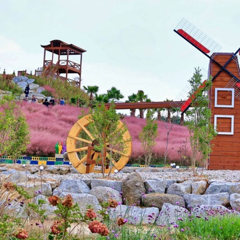 [강원] 호린파크(경포대허브농장)