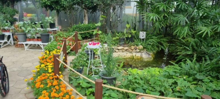 [강원] 구리시곤충생태관