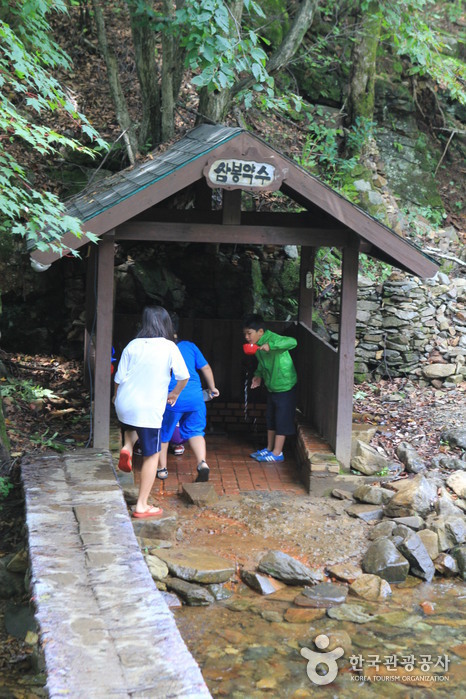 [강원] 삼봉약수