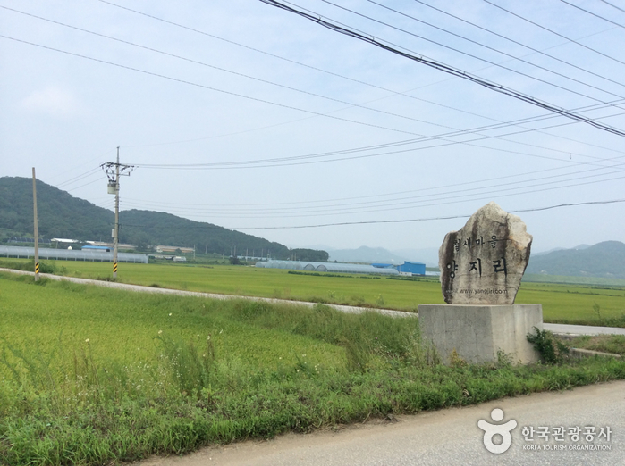 [강원] 철원 철새도래지 (철원평야)