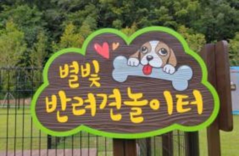 [강원] 별빛반려견 놀이터