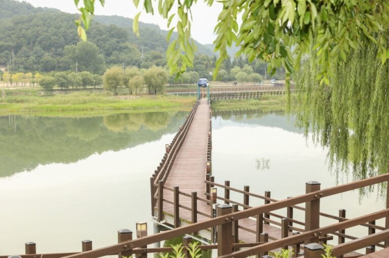 [강원] 한반도섬 자연습지