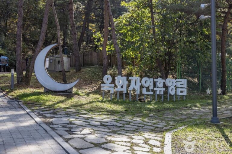 [충북] 옥화자연휴양림