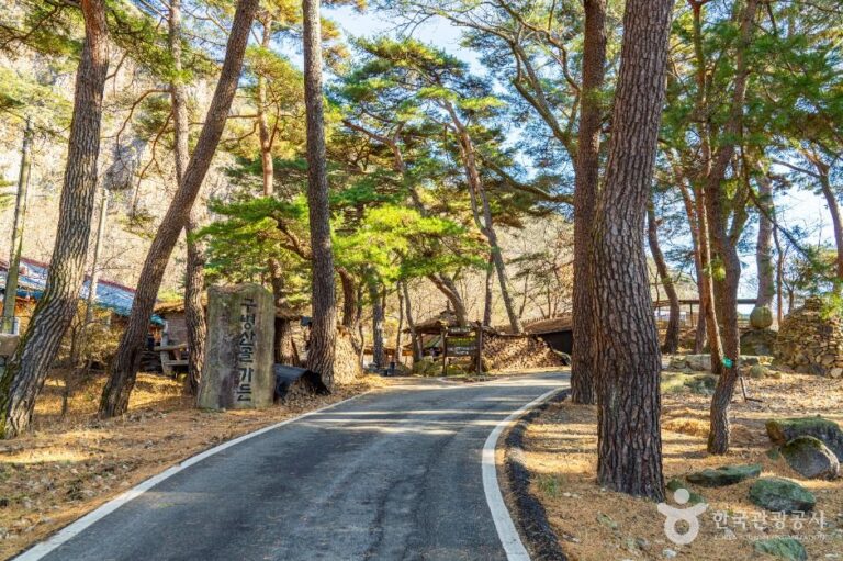 [충북] 구병리아름마을