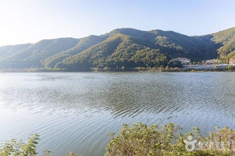 [충북] 사정저수지