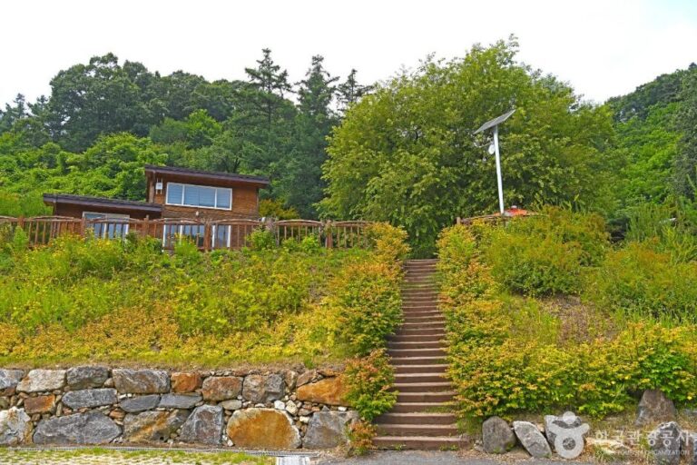 [충북] 생거진천 자연휴양림