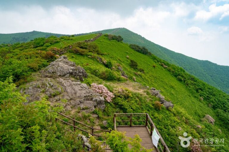 [충북] 소백산국립공원(북부)