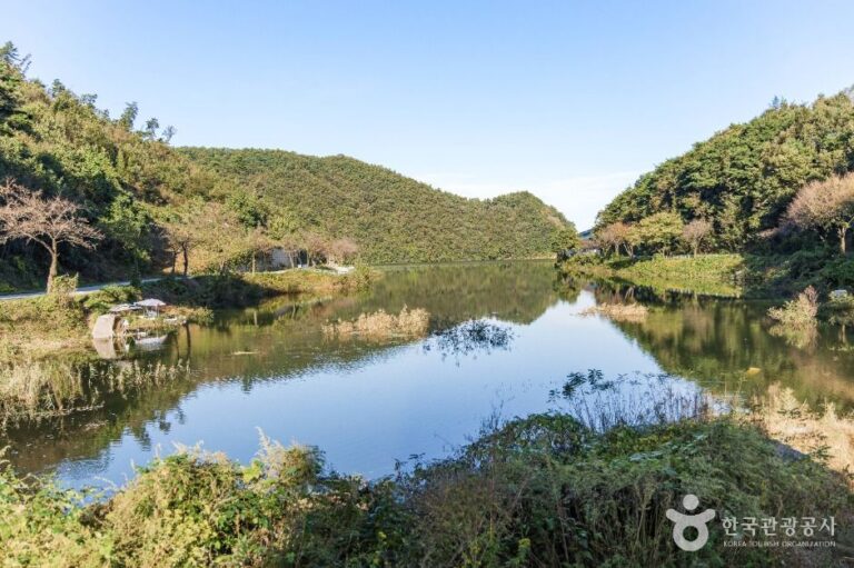 [충북] 금석저수지