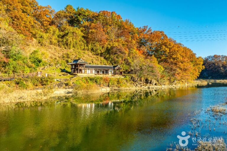 [충북] 옥천 이지당