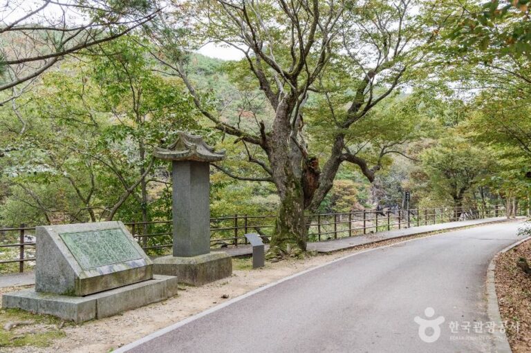 [충북] 화양서원 묘정비