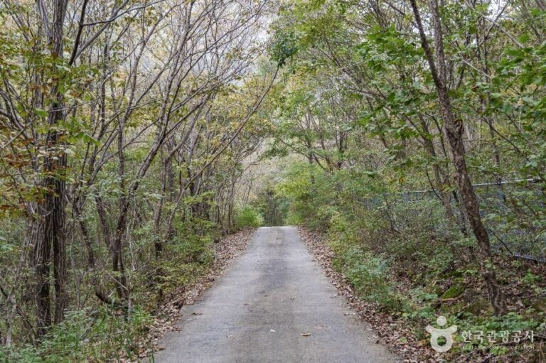 [충북] 괴산 사담리 망개나무 자생지