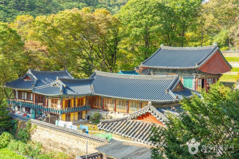 [충북] 복천암(보은)