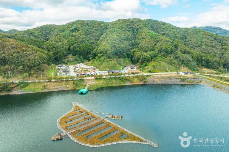 [충북] 상궁저수지