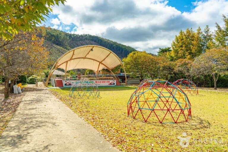 [충북] 잘산대대박마을