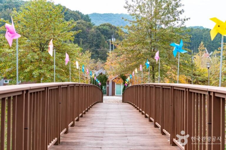 [충북] 별천지공원