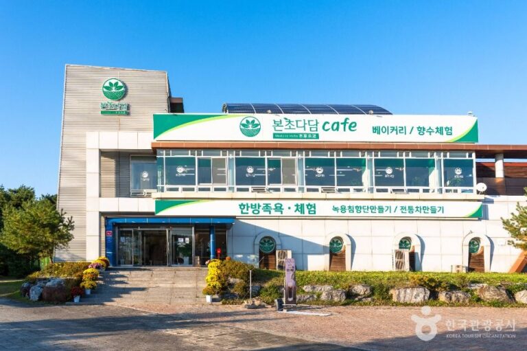 [충북] 본초다담