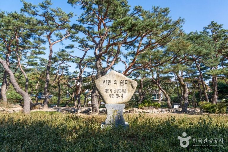 [충북] 의림지 솔밭공원