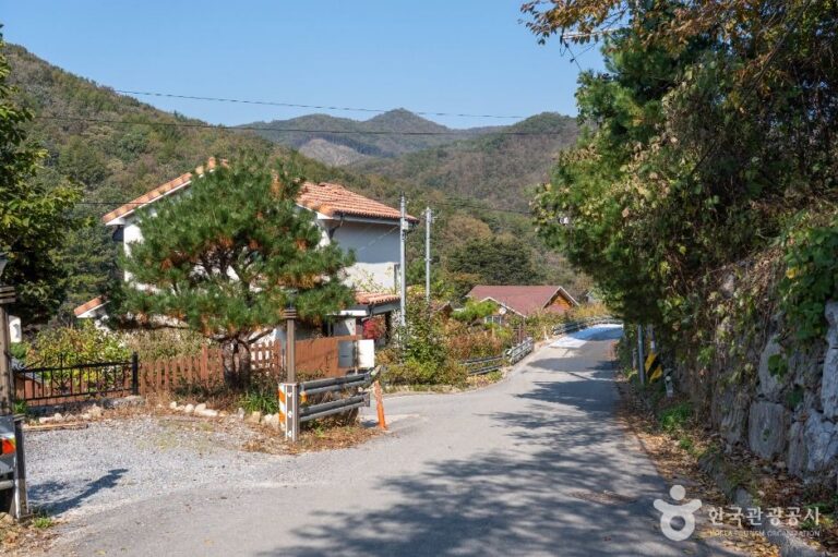 [충북] 진소마을