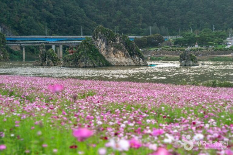 [충북] 도담정원