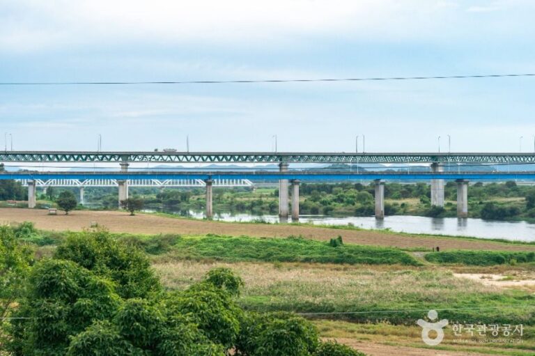 [충북] 목계나루