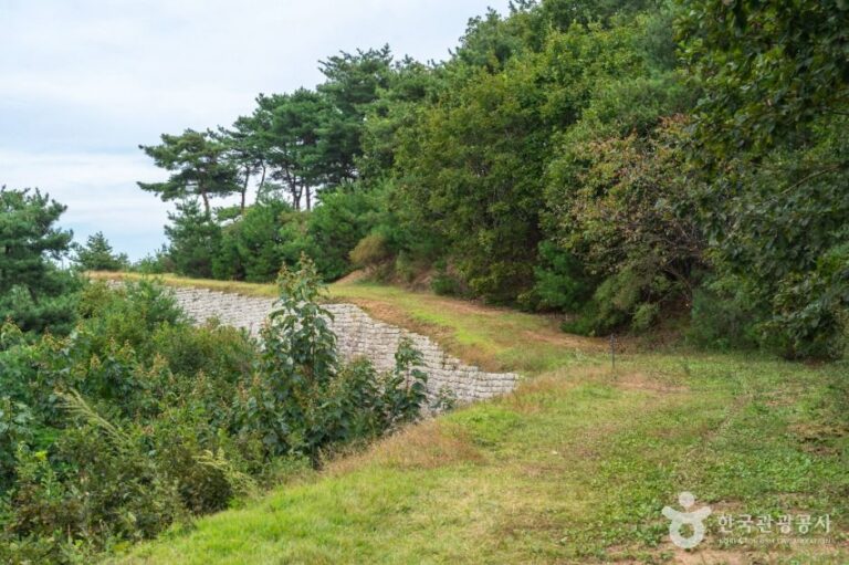 [충북] 충주 장미산성