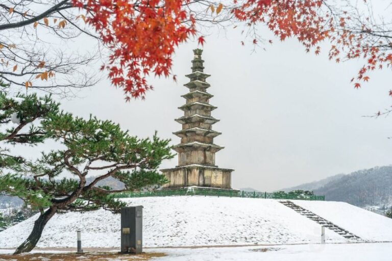 [충북] 충주 탑평리 칠층석탑