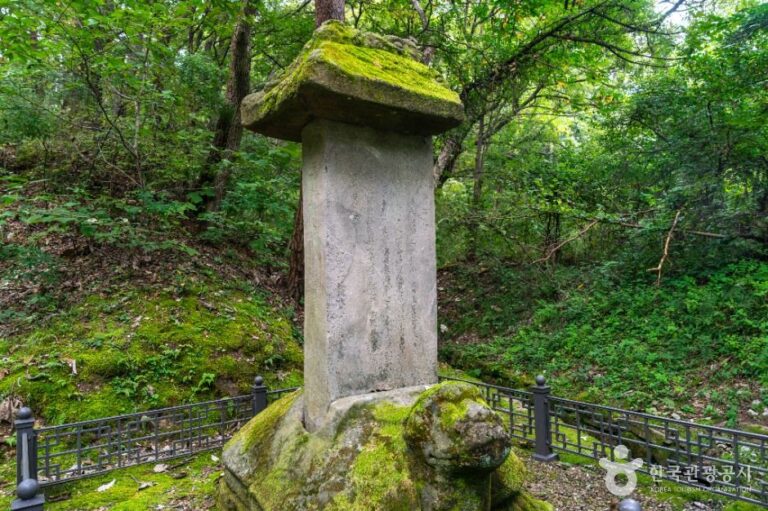 [충북] 청룡사지