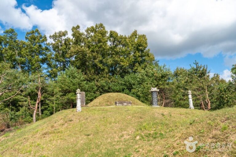 [충북] 충주 이시진 묘소