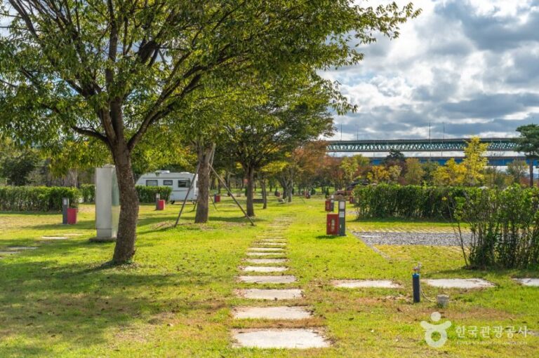 [충북] 목계솔밭(충주)