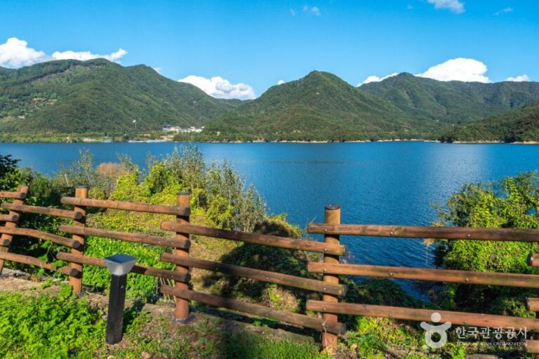 [충북] 충주호