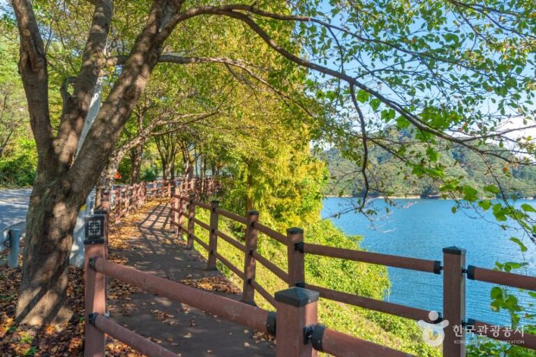 [충북] [충주 풍경길] 종댕이길