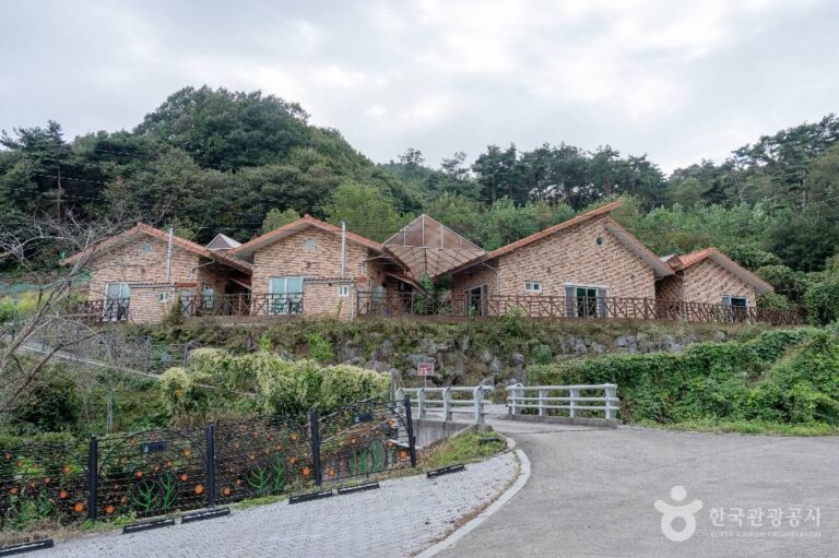 [충북] 생거진천 화랑촌