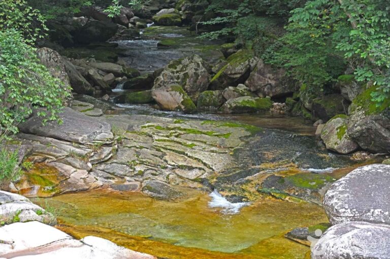 [충북] 송계계곡