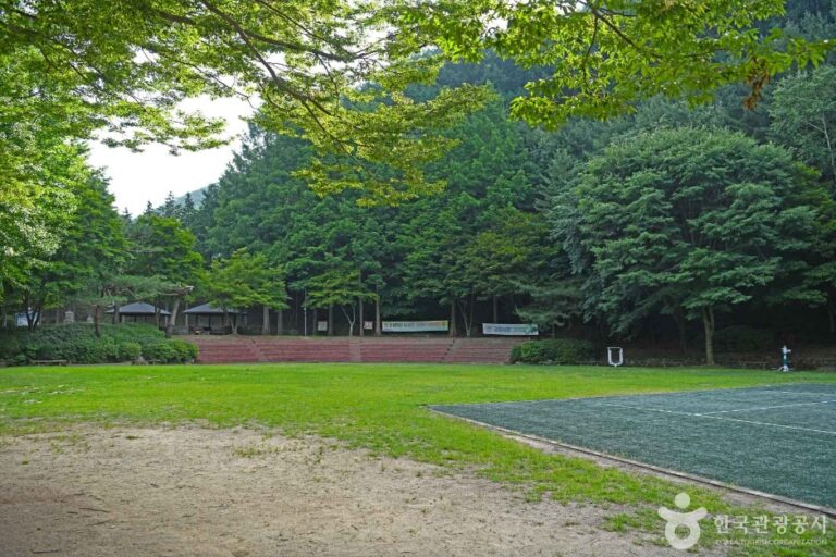 [충북] 봉학골산림욕장