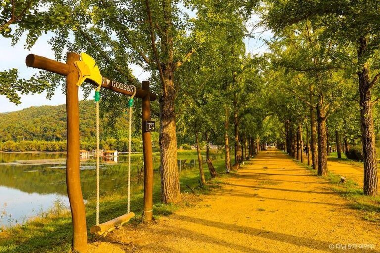 [충북] 문광저수지