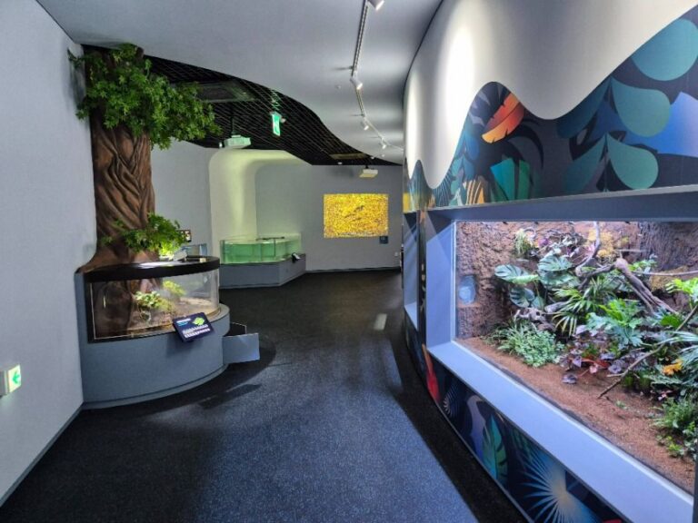 [충북] 단양 다누리아쿠아리움