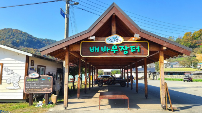 [충북] 배바우청정마을