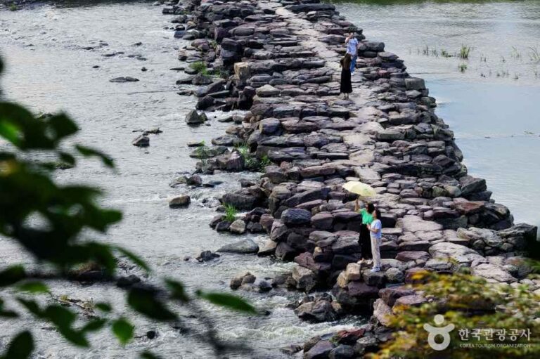 [충북] 진천 농다리