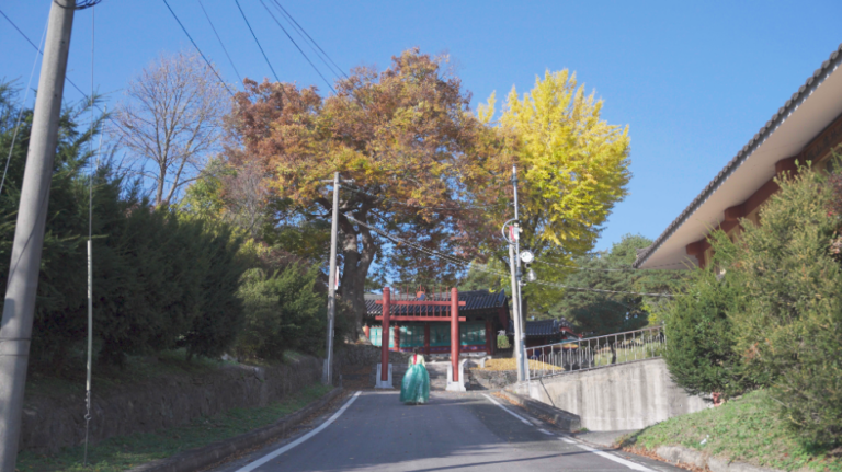 [충북] 괴산향교