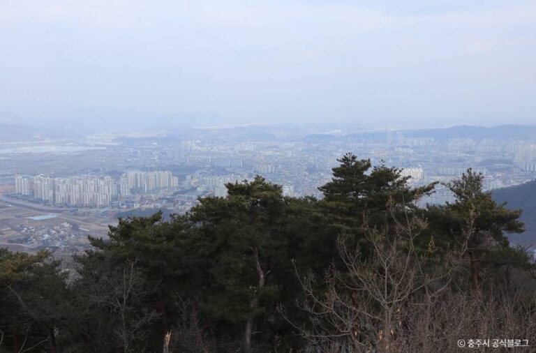 [충북] 충주 대림산성