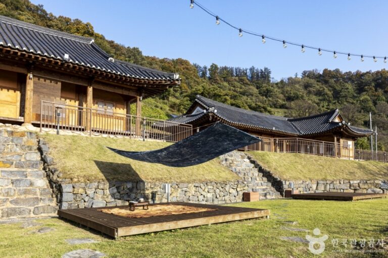 [충북] 보은 하얀민들레한옥마을