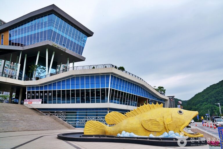 [충북] 다누리센터4D체험관