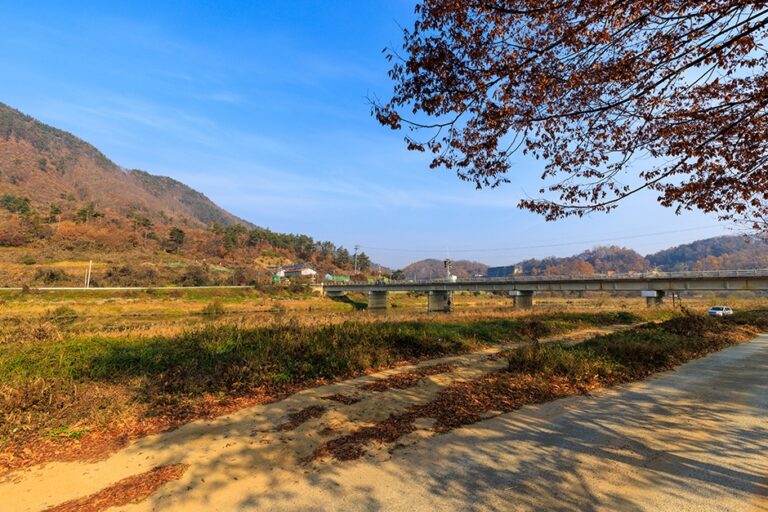 [충북] 청천수변공원