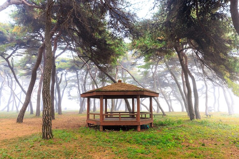 [충북] 솔밭공원