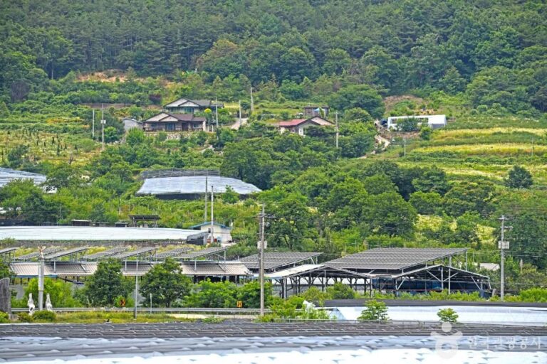 [충북] 영동 금강모치마을