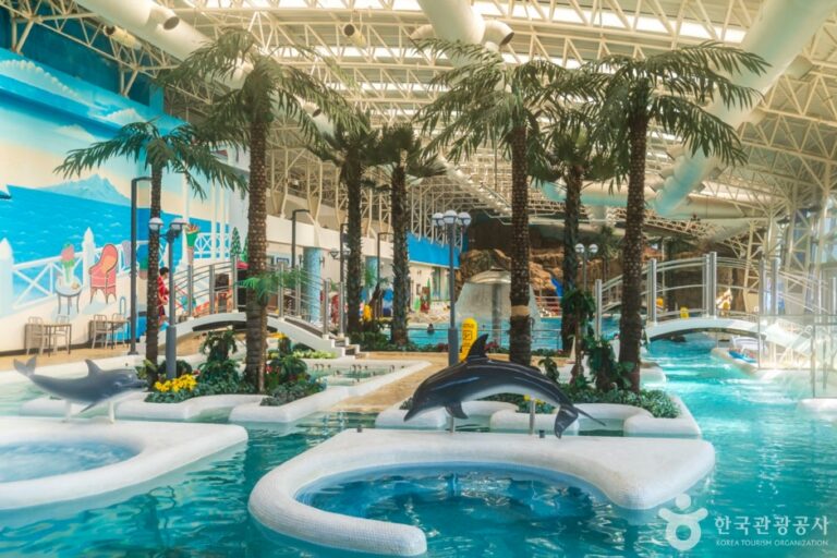 [충북] 소노벨 단양 오션플레이