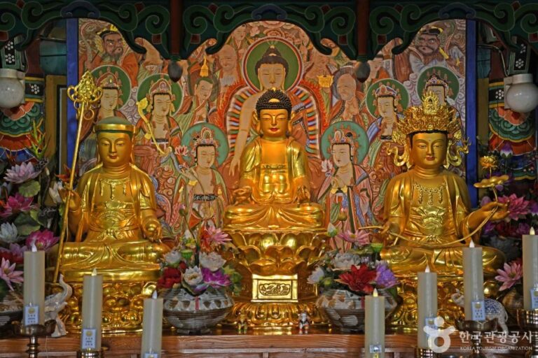 [충북] 제천 백련사 목조아미타여래좌상